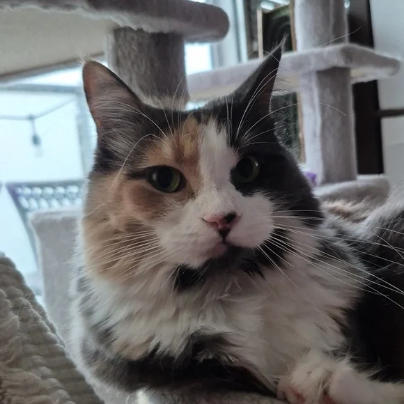 *Fun Posh Post* - NOT FOT SALE!!! - Picture 4 of 4